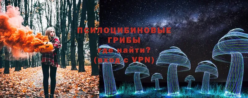 где купить   Голицыно  omg   это формула  Галлюциногенные грибы MAGIC MUSHROOMS 